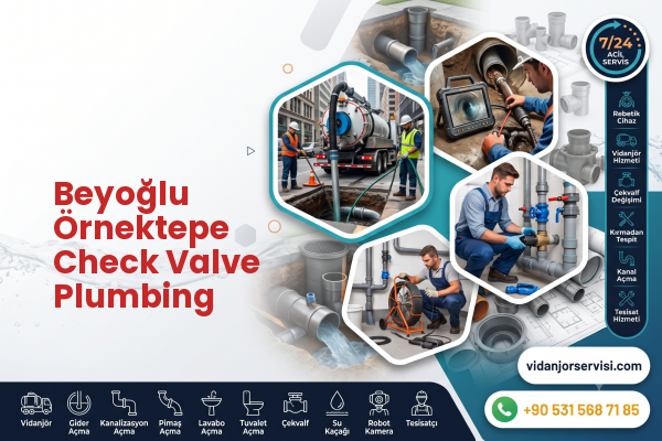 Beyoğlu Örnektepe Check Valve Plumbing