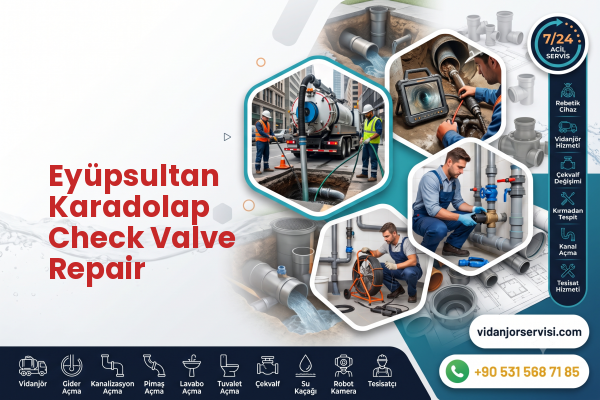 Eyüpsultan Karadolap Check Valve Repair