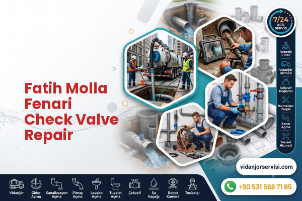 Fatih Molla Fenari Check Valve Repair